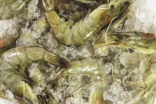 水煮大蝦的做法大全