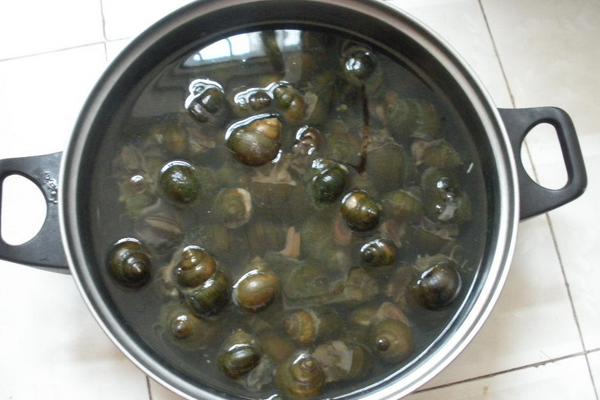 田螺怎么洗才能洗干凈?