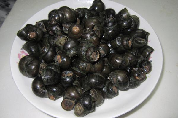 田螺怎么洗才能洗干凈?