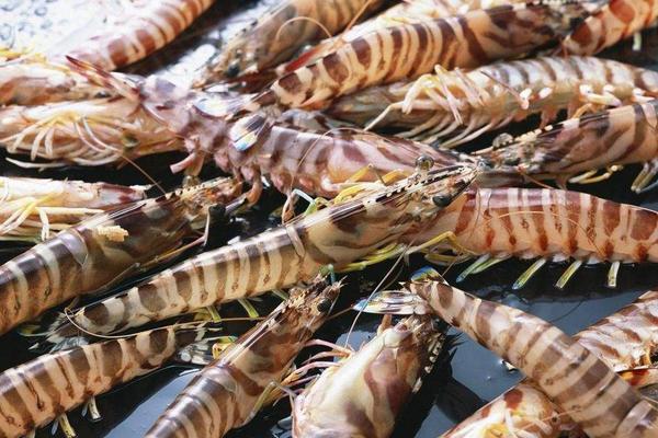 水煮大蝦的做法大全