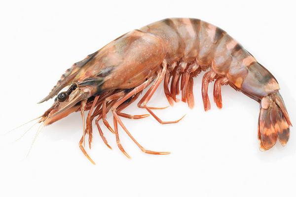 水煮大蝦的做法大全