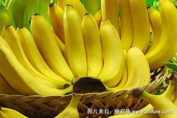 紅薯和香蕉能一起吃嗎？