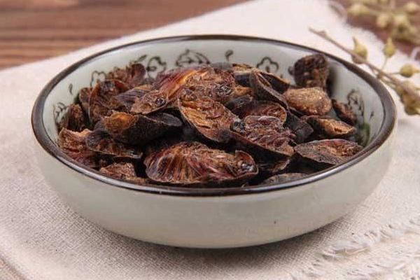土鱉蟲的功效與作用及禁忌