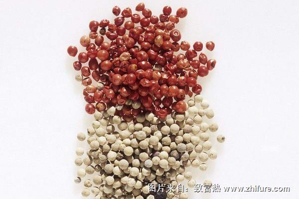 胡椒和花椒的區(qū)別是什么？