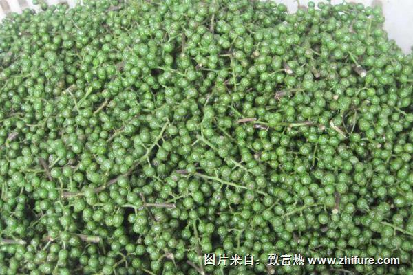 花椒水治婦科炎癥嗎？