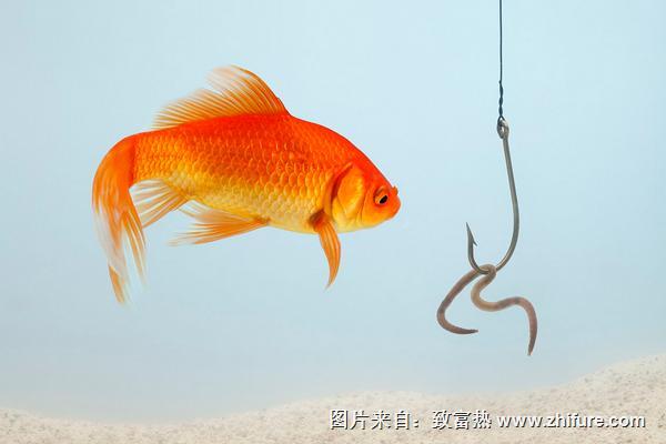 蚯蚓釣魚用什么打窩？