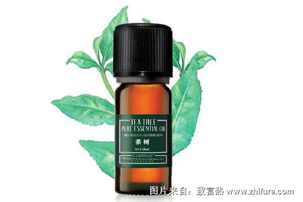 茶樹精油祛痘怎么樣？