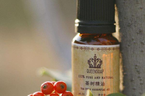 茶樹精油祛痘怎么樣？