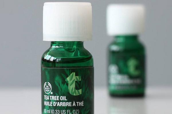 茶樹精油祛痘怎么樣？
