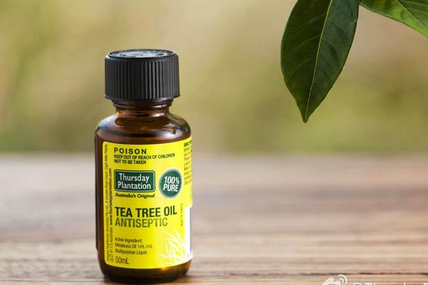 茶樹精油祛痘怎么樣？