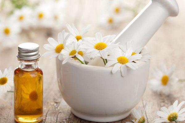 茶樹精油價格多少錢一瓶?