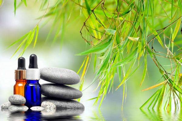 茶樹精油價格多少錢一瓶？