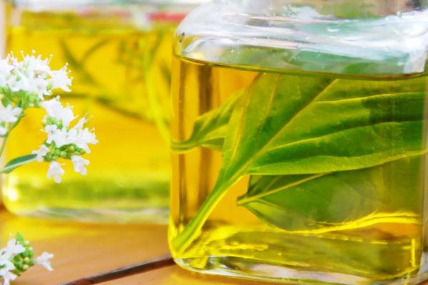 茶樹精油價格多少錢一瓶?