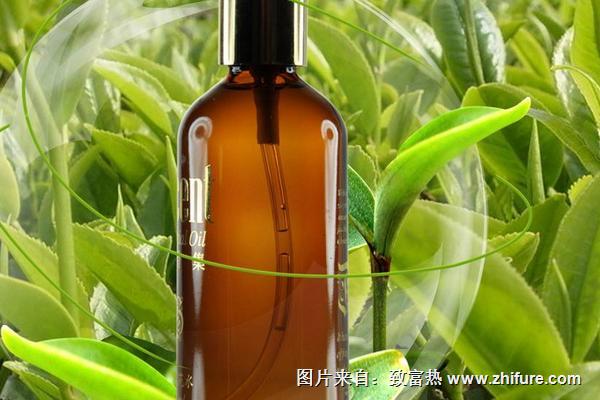 茶樹精油可以直接涂在臉上嗎？