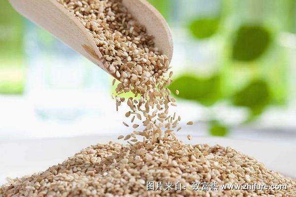 芝麻價格多少錢一斤？