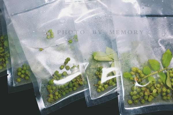 新鮮花椒怎么保存?