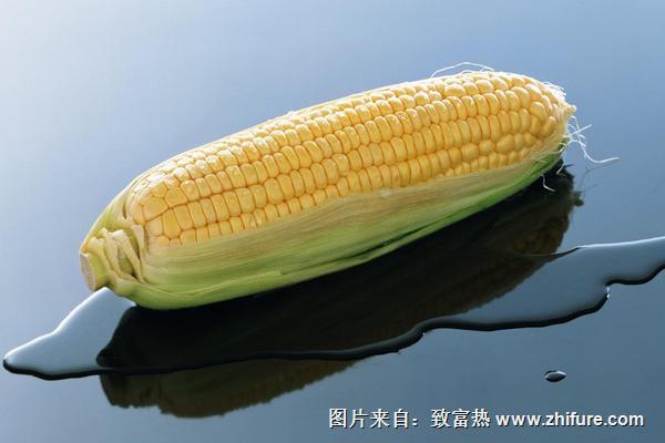 玉米價格多少錢一斤？