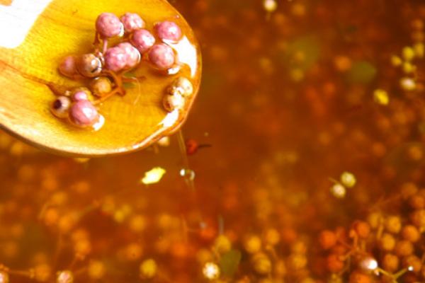 新鮮花椒怎么保存?