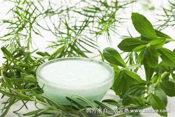 茶樹精油價格多少錢一瓶？