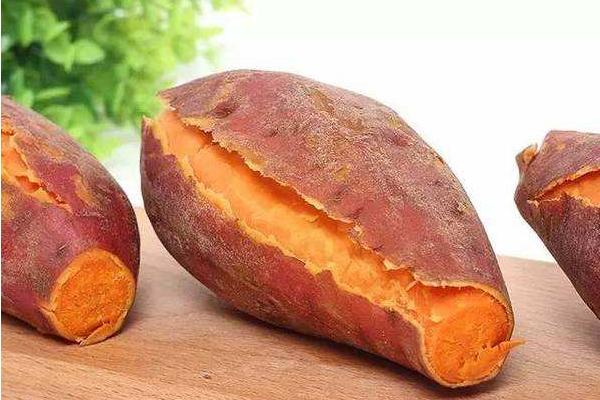 紅薯發芽后是否有毒?