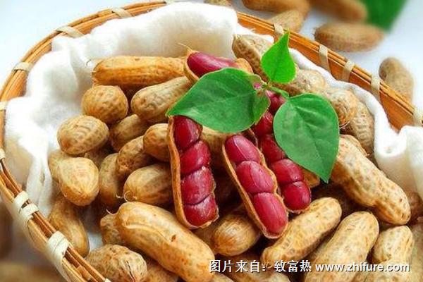 脂肪肝可以吃花生嗎？