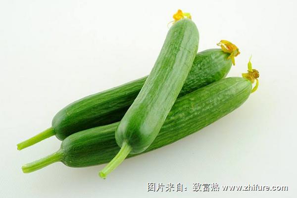 腌制乳黃瓜的方法大全