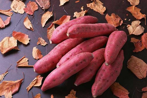 紅薯不能和什么一起吃？