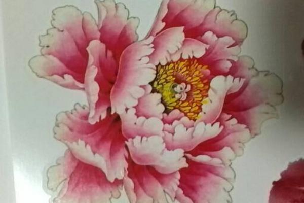 牡丹花紋身圖案大全