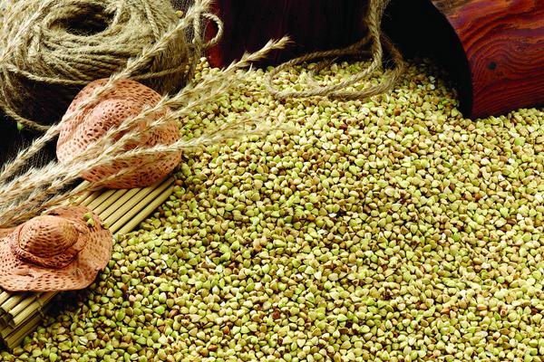 青稞和小麥的區(qū)別是什么?