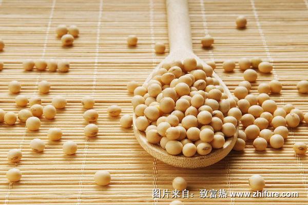 大豆價(jià)格多少錢一斤？