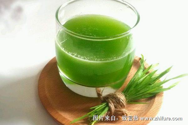 小麥汁的功效與作用及禁忌