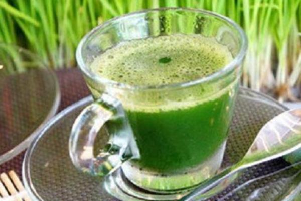 小麥汁的功效與作用及禁忌