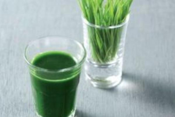 小麥汁的功效與作用及禁忌