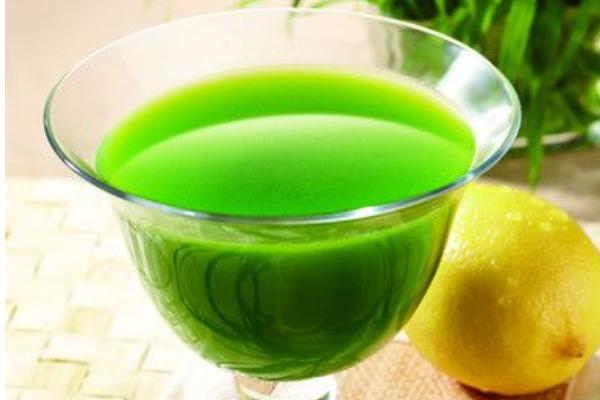 小麥汁的功效與作用及禁忌