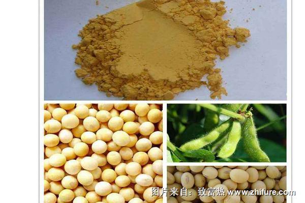 大豆異黃酮的功效與作用及禁忌