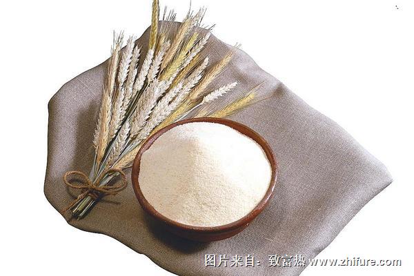 小麥粉是低筋面粉嗎？