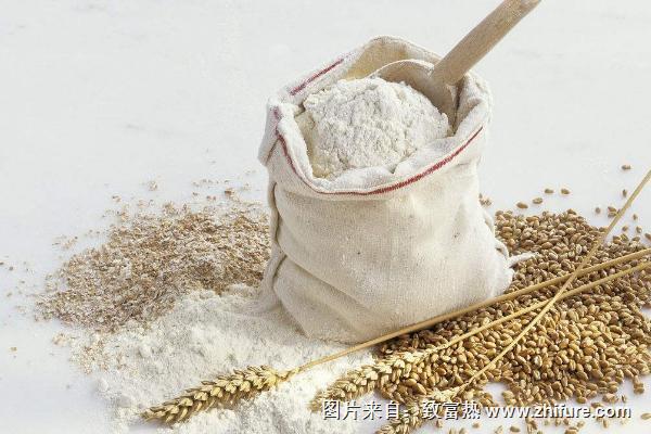 一斤小麥出多少面粉？