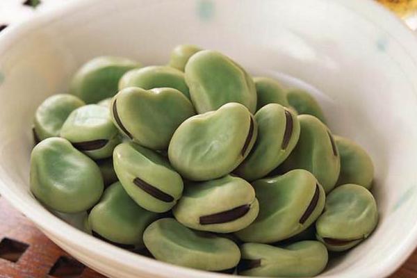 蘭花豆圖片大全