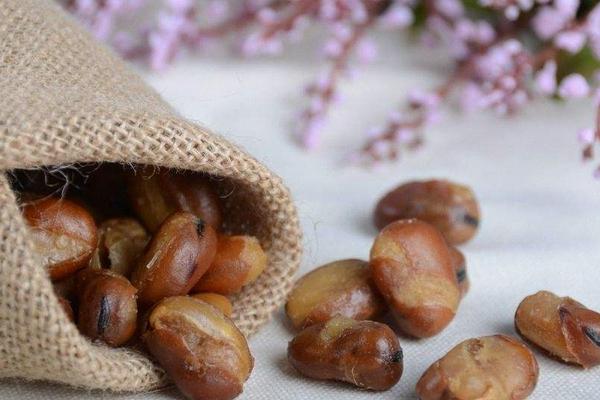 蘭花豆圖片大全