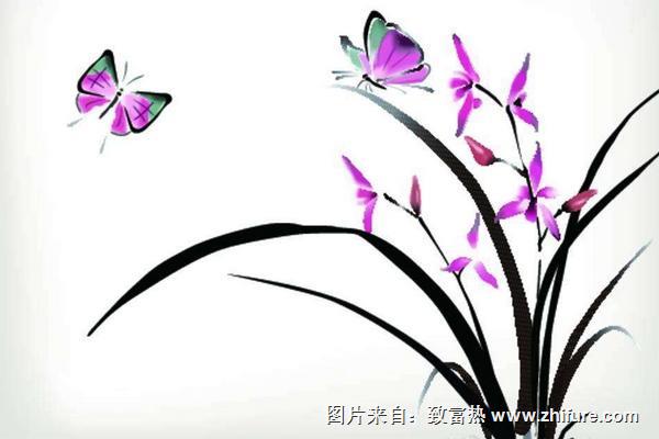 蘭花喜陰還是喜陽