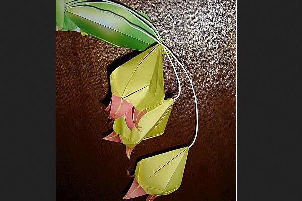 鈴蘭花的折法(圖解)