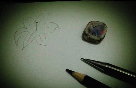 百合花簡筆畫怎么畫（圖解步驟）