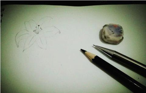 百合花簡筆畫怎么畫（圖解步驟）