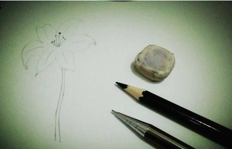 百合花簡筆畫怎么畫（圖解步驟）