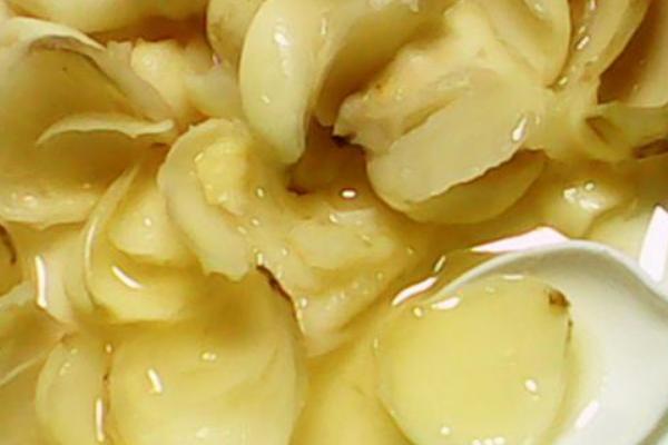 百合花簡筆畫怎么畫（圖解步驟）