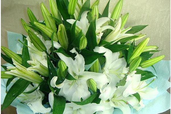 香水百合花語是什么