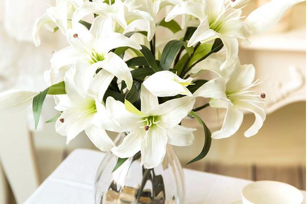 百合花花語是什么