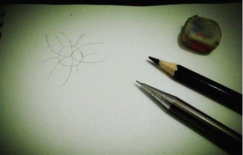 百合花簡筆畫怎么畫（圖解步驟）