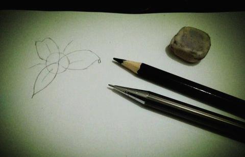 百合花簡筆畫怎么畫（圖解步驟）