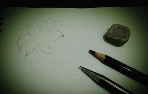 百合花簡筆畫怎么畫（圖解步驟）